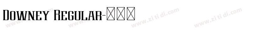 Downey Regular字体转换